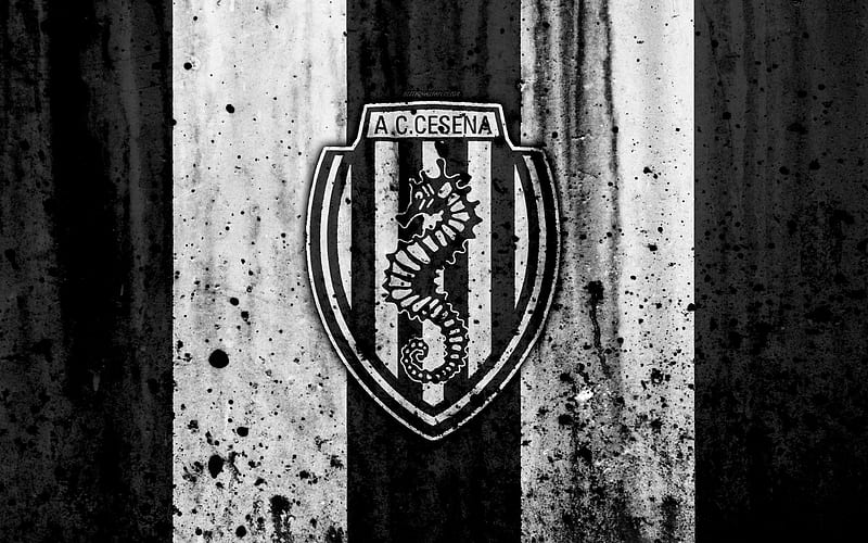 Cesena grunge, Serie B, football, Italy, soccer, FC Cesena, stone texture, football club, Cesena FC, HD wallpaper
