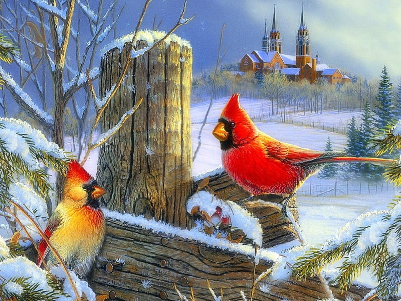 Holy Hillside Cardinal Birds, Christmas, holidays, Christmas Tree, love four seasons, birds, attractions in dreams, xmas and new year, winter, cardinals, snow, winter holidays, hillside, HD wallpaper