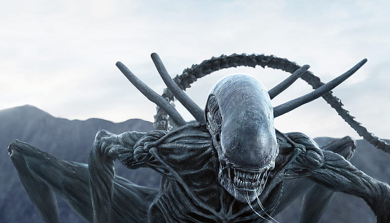 Alien In Alien Covenant, alien-covenant, 2017-movies, movies, alien, HD wallpaper
