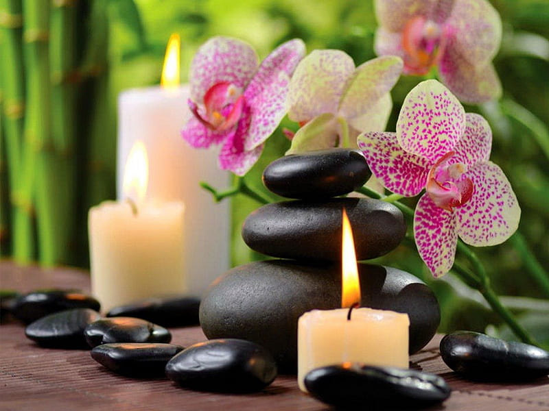 Spa beauty, pretty, lovely, relax, bonito, content, bamboo, candles, fire, still life, stones, concept, nice, orchid, spa, flowers, beauty, HD wallpaper