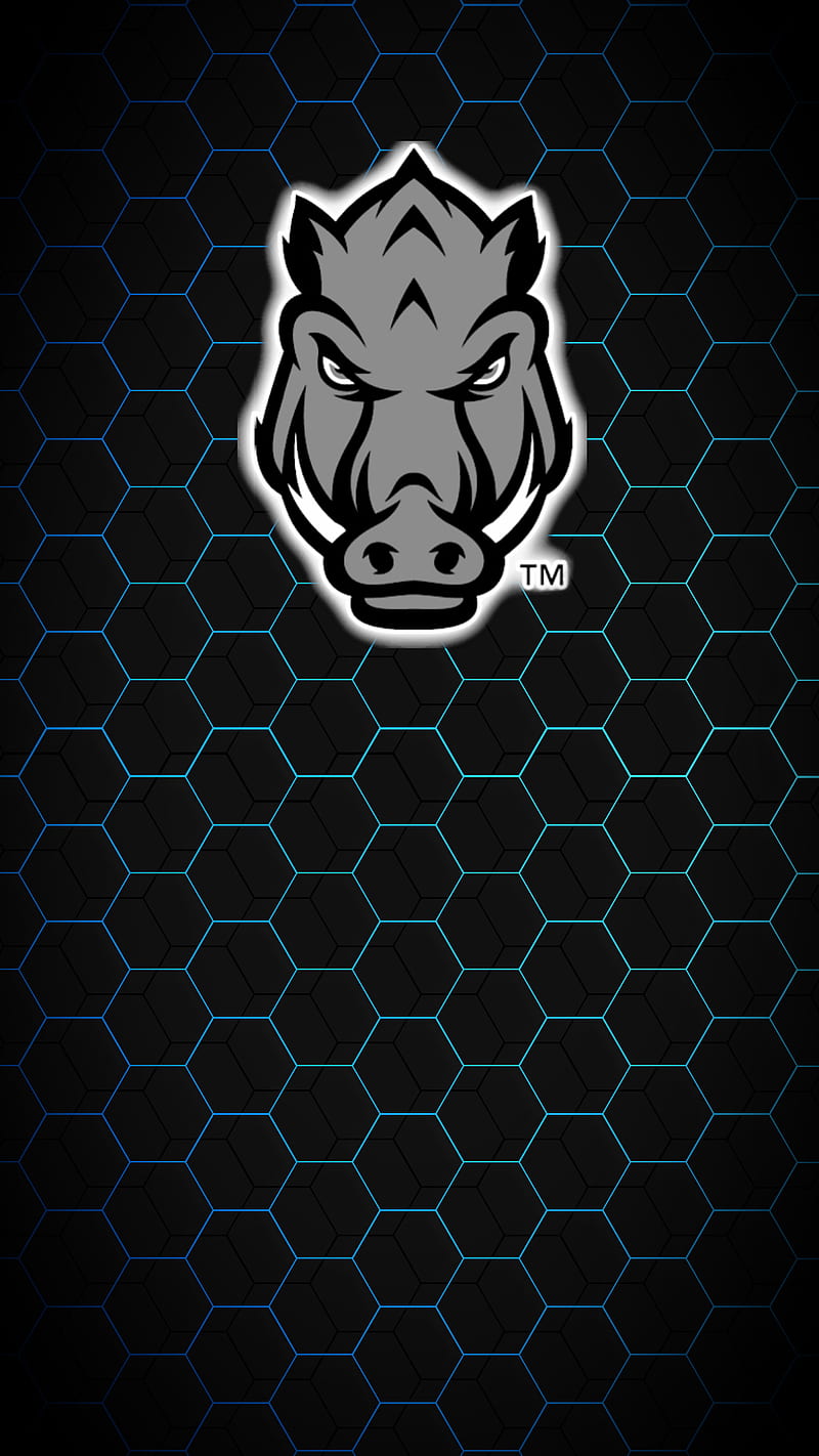Arkansas Razorback Football on Twitter Get your phones right with some  fresh wallpapers  httpstco9QDXM9Z5SQ  X