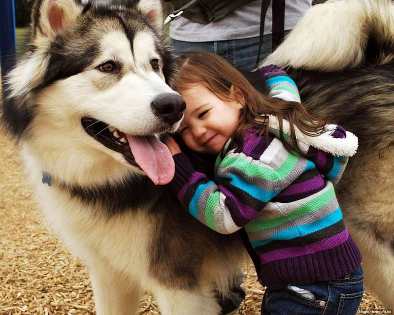 Love you my dear Friend, Kids, Animal, Friends, Love, HD wallpaper