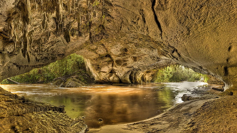 superb grotto in karamea new zealand r, sand, river, r, grotto, trees, HD wallpaper