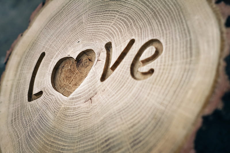Love Written On Wood, love, wood, graphy, HD wallpaper