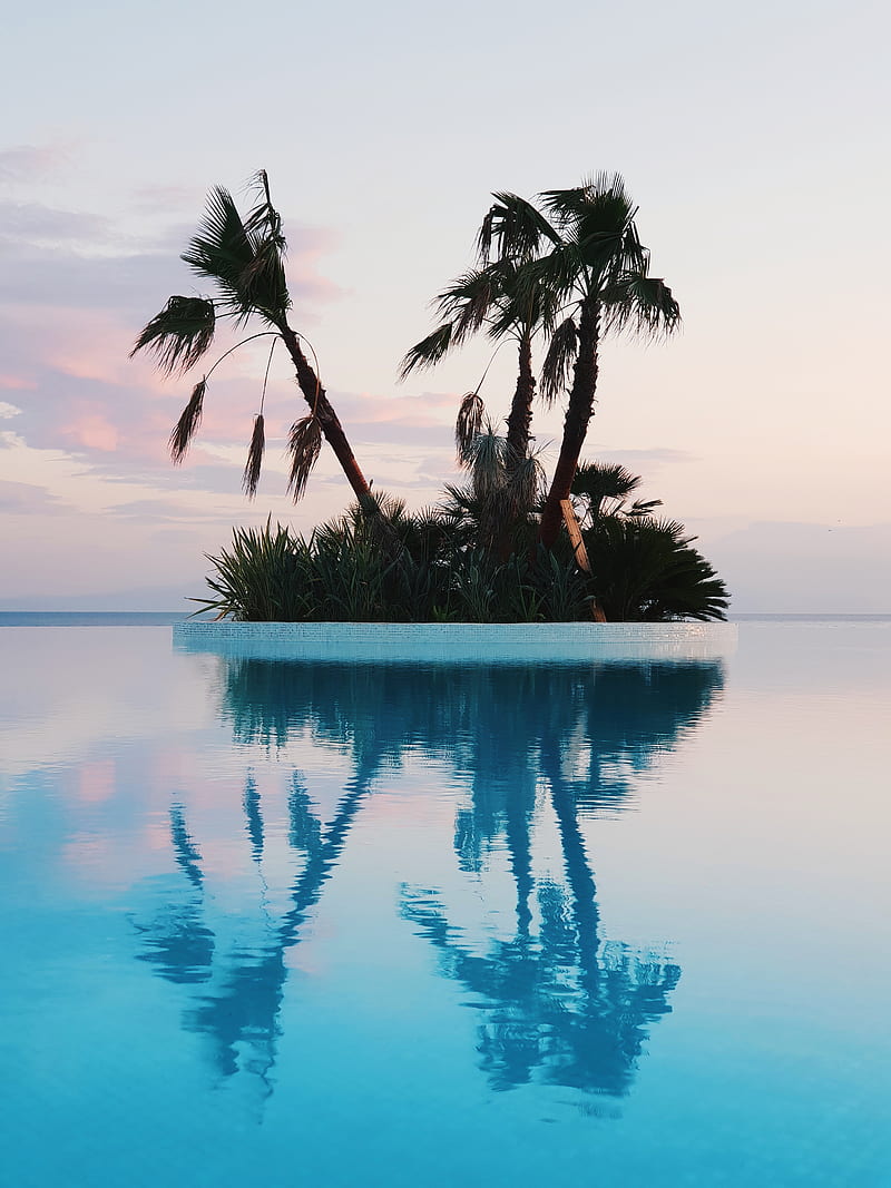 nature, island, trees, cyan, calm, horizon, reflection, palm trees, tropical, swimming pool, HD phone wallpaper