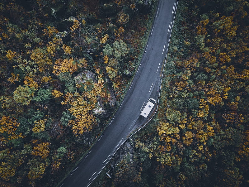 road, trees, fall, top view, Nature, HD wallpaper