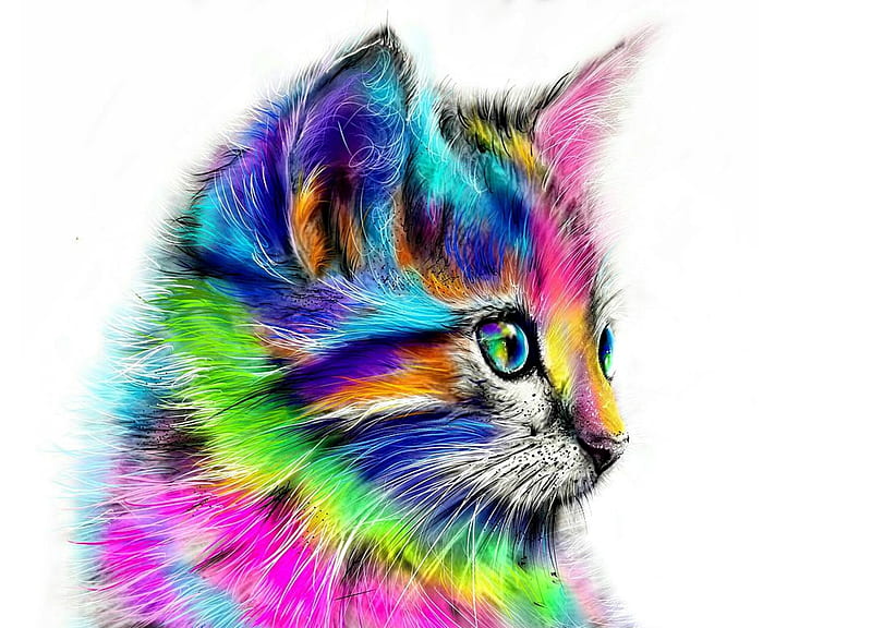 HD color cat -rainbow wallpapers | Peakpx