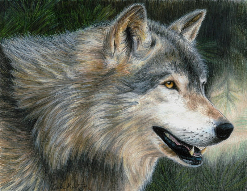 Wolf Painting, predator, profile, portrait, wolves, artwork, HD wallpaper