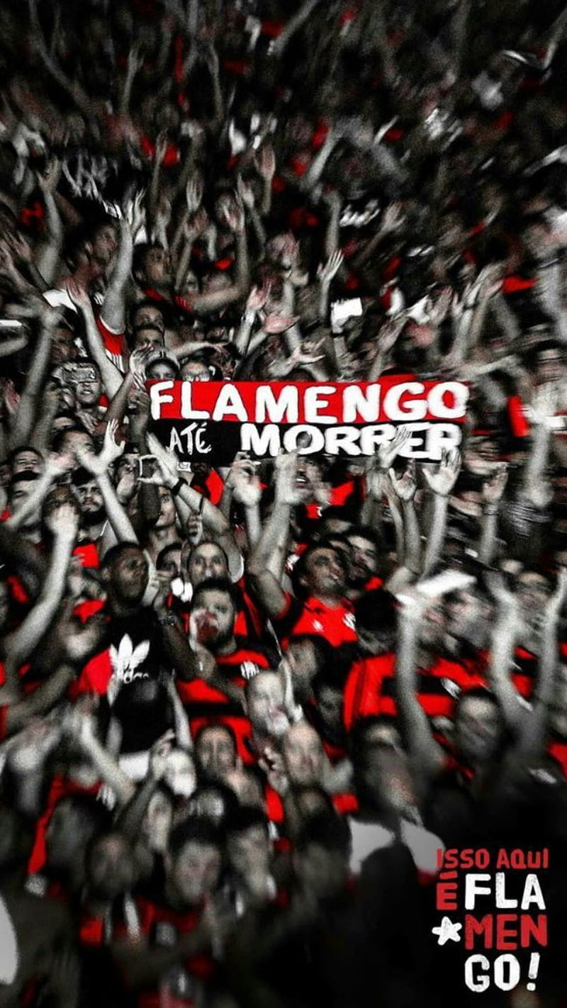 Flamengo, cbf, futebol, libertadores, neymar, ronaldinho, urubu, zico, HD phone wallpaper