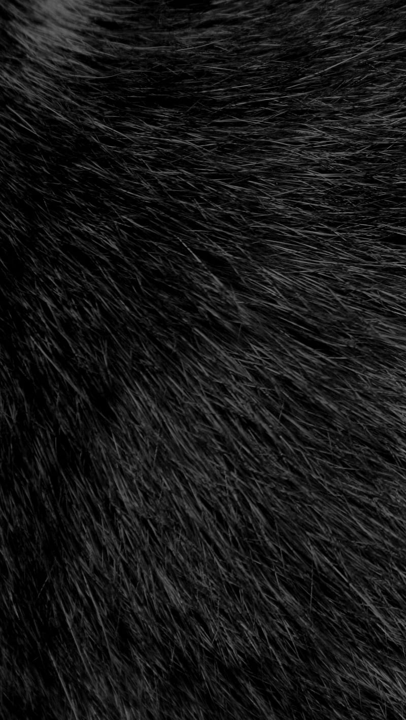 Cat Fur, abstract, black, texture, HD phone wallpaper