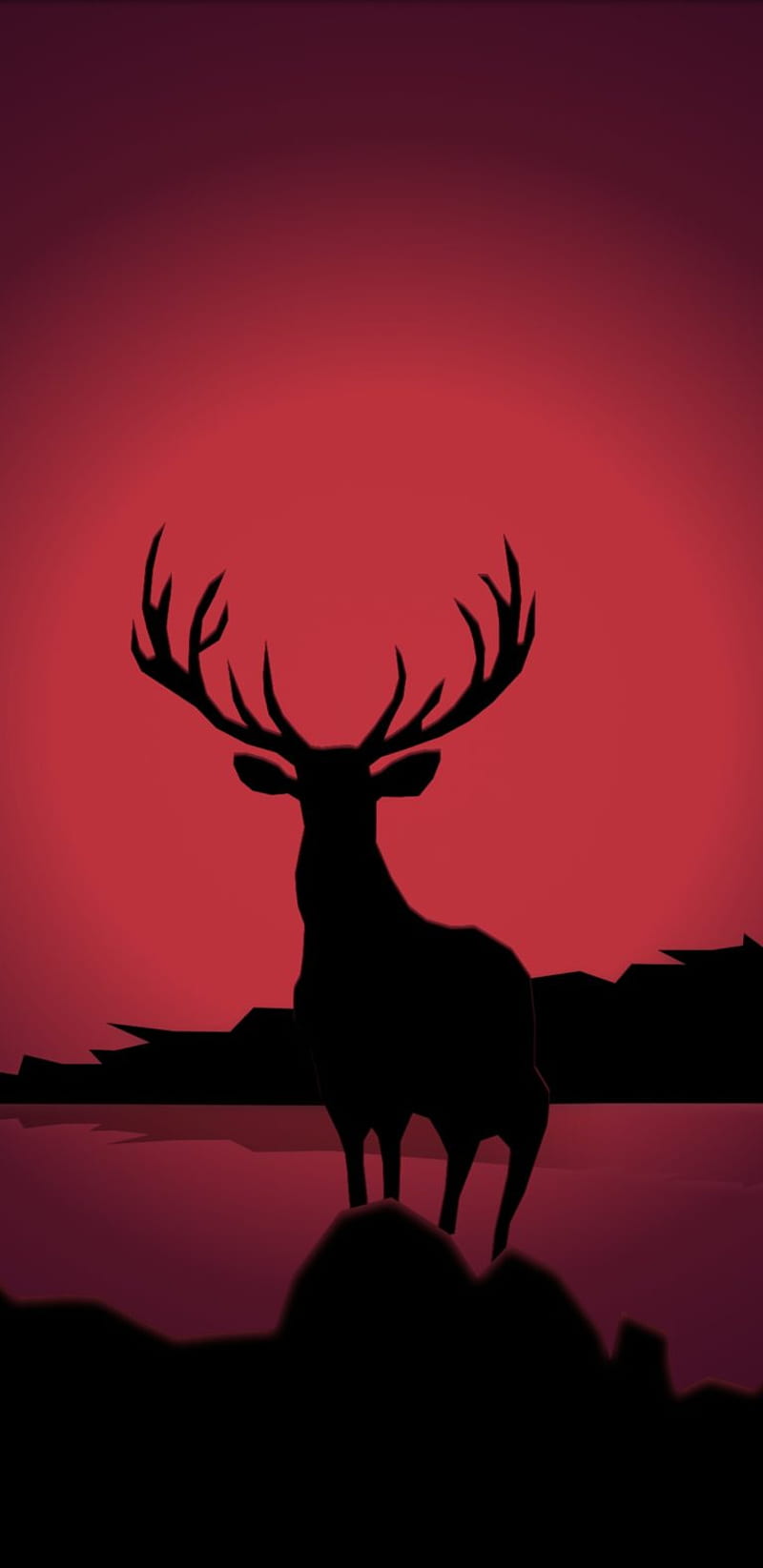 Red Deer, 2019, animals, hunter, iphone, nature, note, samsung, HD phone wallpaper