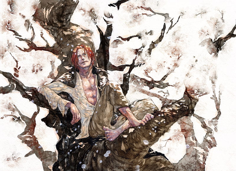 shanks, cherry blossom, one piece, looking away, tree, Anime, HD wallpaper