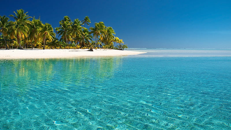 Tropical White Beach & Crystal Clear Water, islands, ocean, palms, sea, sand, water, beaches, nature, tropical, HD wallpaper