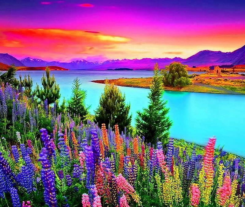 beautiful photography colorful