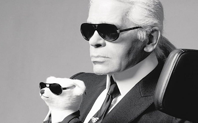 Karl Lagerfeld, haute couture, cat, fashion legend, business, HD wallpaper