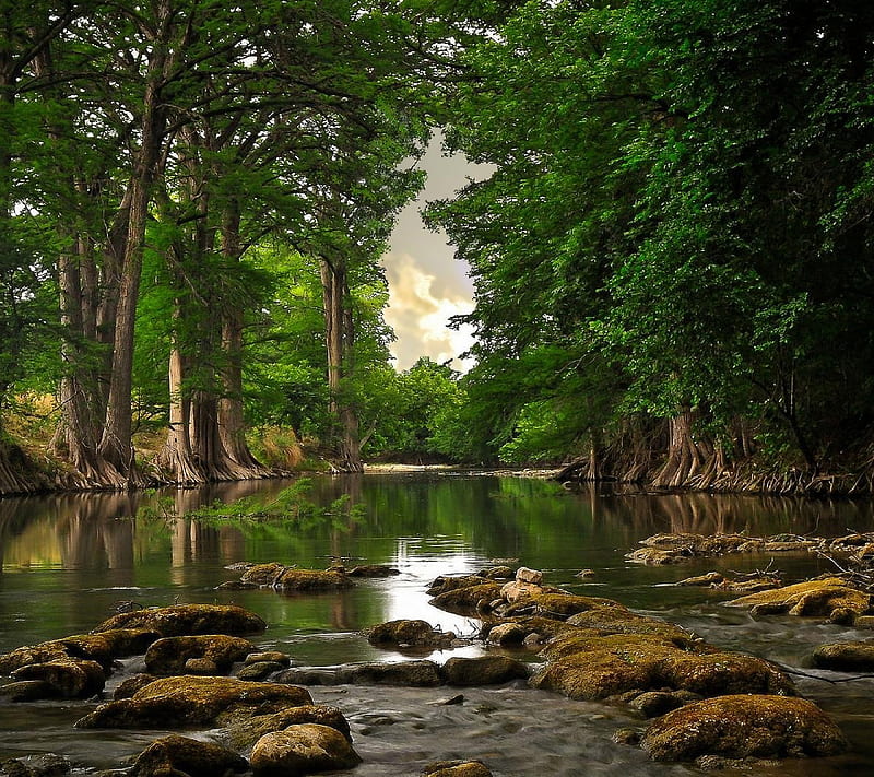 Natural, lake, landscape, nature, tree, water, HD wallpaper | Peakpx