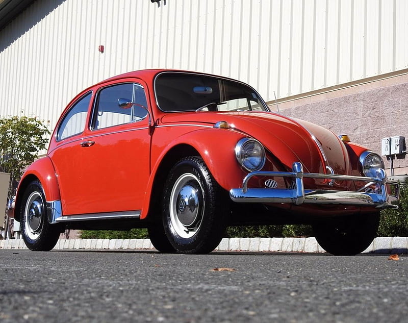 1967 Volkswagen Beetle 1500cc 4-Speed, Old-Timer, Volkswagen, 1500cc, Red, Car, 4-Speed, Beetle, HD wallpaper