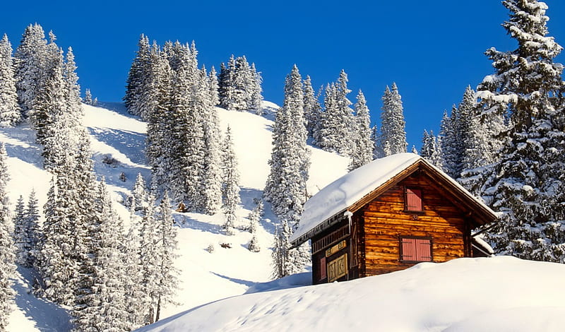Mountain cabin in winter, hut, lovely, chalet, cottage, bonito, cabin, trees, sky, winter, mountain, snow, slope, nature, wooden, landscape, HD wallpaper