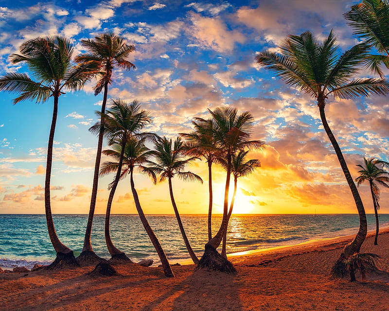 Palm trees and tropical beach, trees, tropics, palms, sea, exotic, ocean, bonito, sunset, beach, paradise, summer, island, sands, HD wallpaper