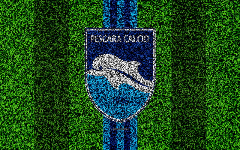 Pescara FC, Delfino Pescara 1936 football lawn, italian football club, logo, blue lines, grass texture, Serie B, Pescara, Italy, football, HD wallpaper