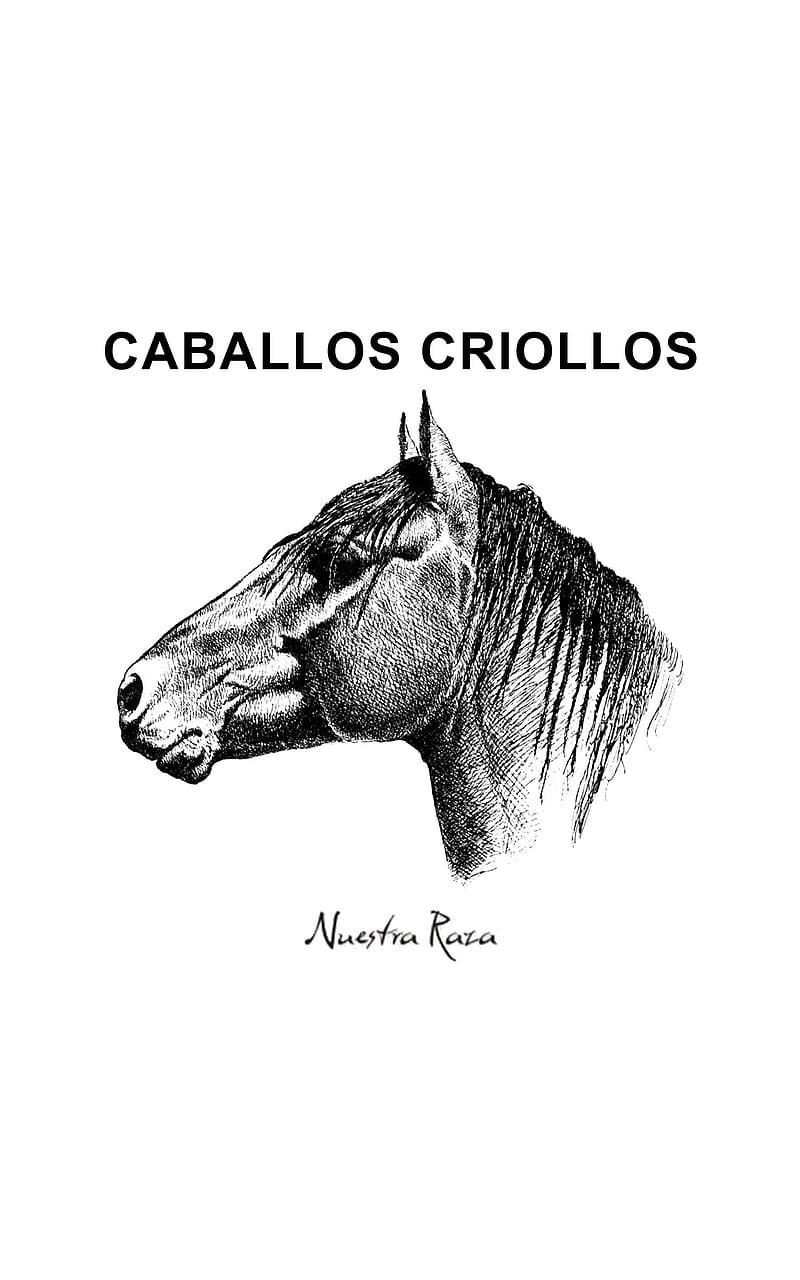 Caballos Criollos, argentina, equitacion, horse, horses, logo, HD phone wallpaper