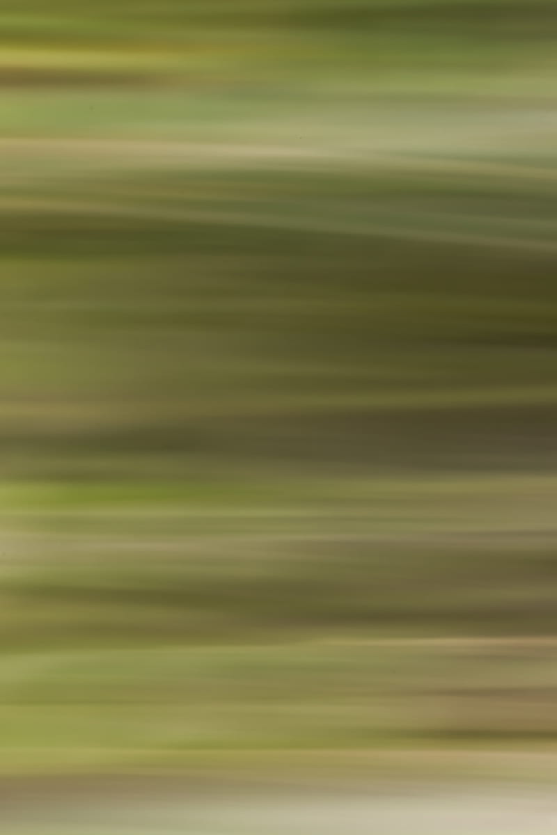 distortion, motion, blur, green, HD phone wallpaper