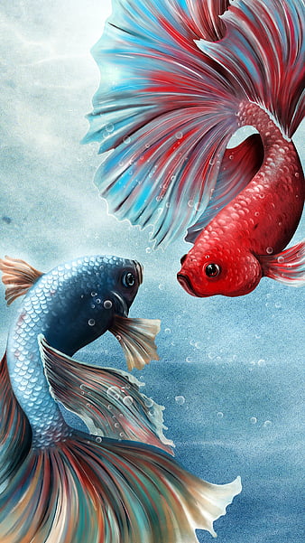 Art illustration darkness chinese koi fishes fish HD wallpaper   Wallpaperbetter