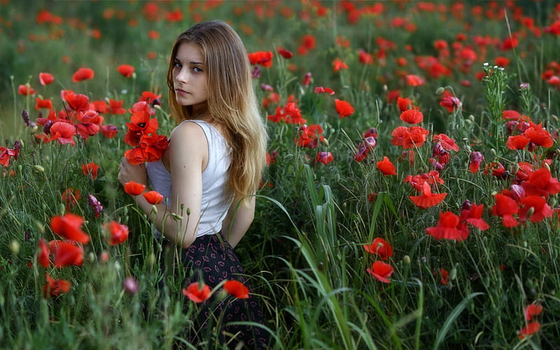 Beautiful Girl in a Field of Poppies, Model, Flowers, Poppies, Blonde ...