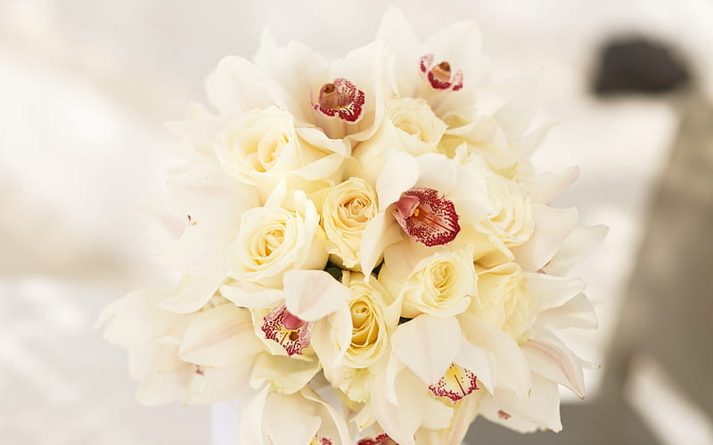 bouquet of orchids and roses, white orchids, white roses, wedding bouquet, beautiful flowers, HD wallpaper