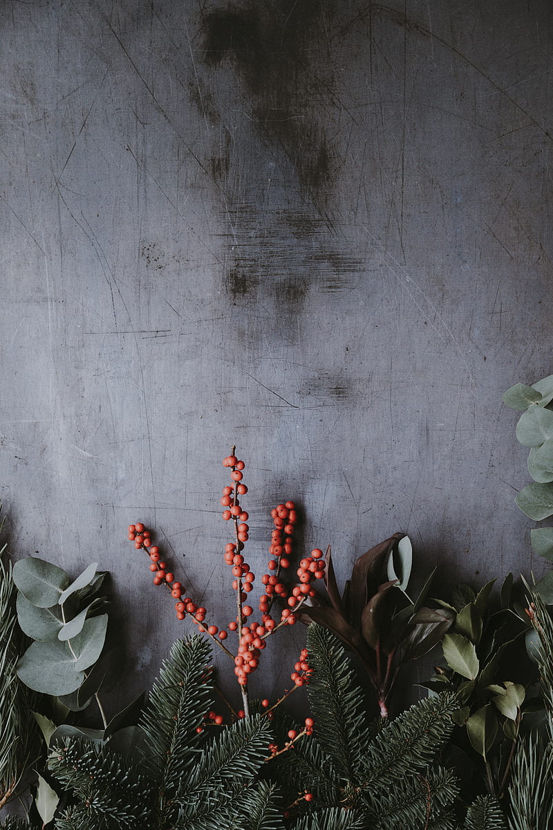 orange berries with green leaves, HD phone wallpaper