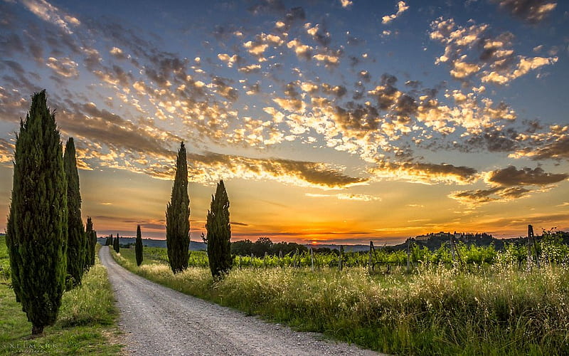 Tuscany Sunset, landscape, italy, colors, trees, sky, clouds, HD wallpaper