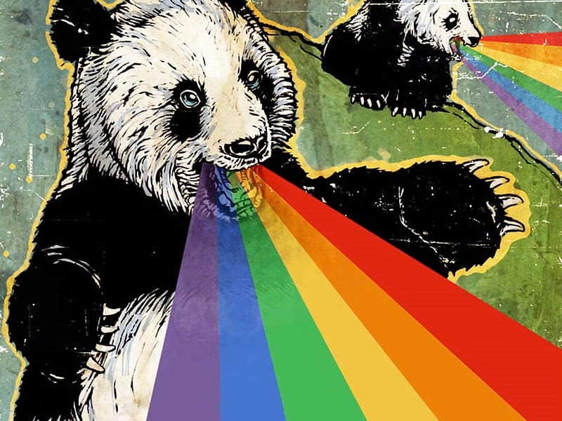 Graciosas, arcoíris, osos, panda, humor, Fondo de pantalla HD | Peakpx