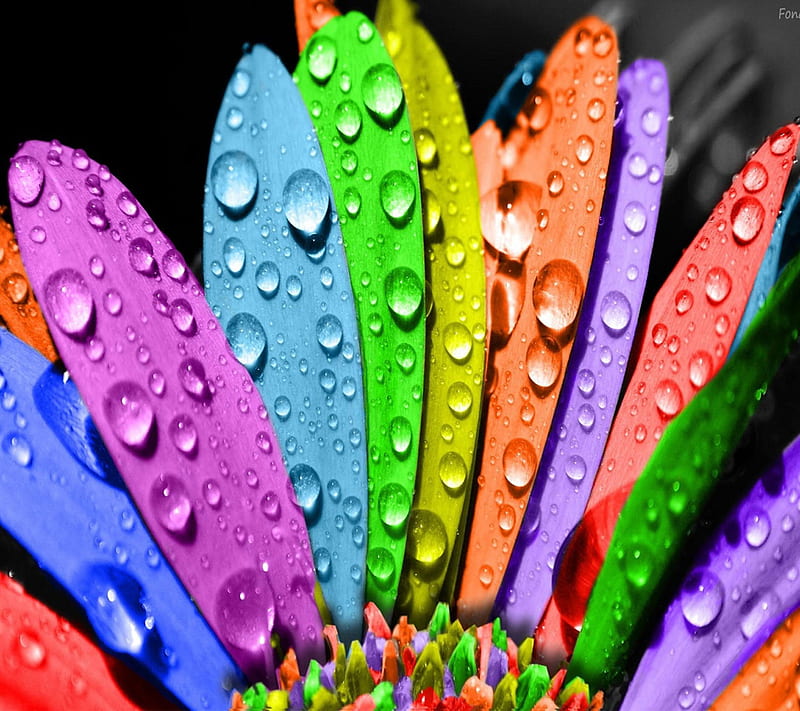 Drops N Colors, colorful, rainbow, water, HD wallpaper