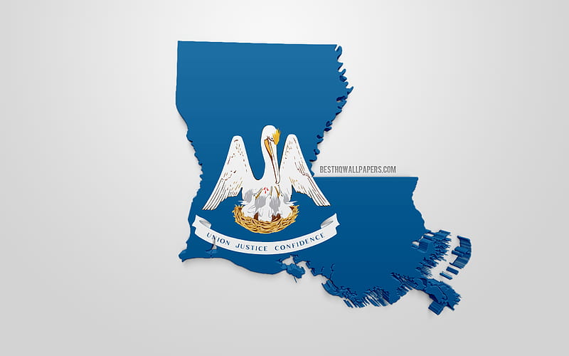 Louisiana State Flag Gloss Kids T-Shirt by Bigalbaloo Stock - Pixels