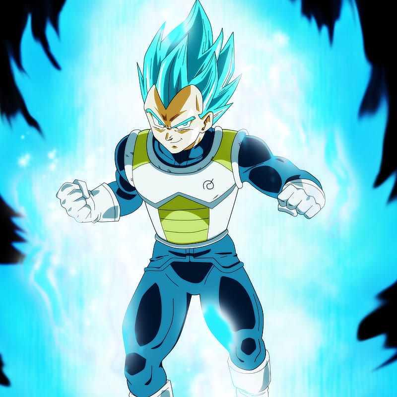 Introducir 51+ imagen dragon ball z vegeta full body - Viaterra.mx