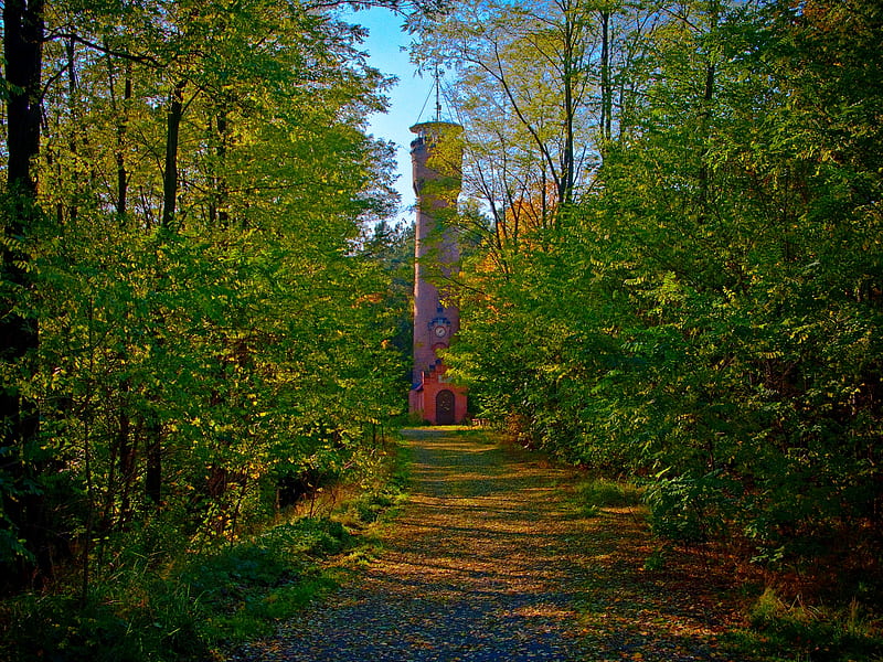Tower in the Trees, architecture, forest, trees, green, poland, brick, bismarck, tower, path, nature, road, HD wallpaper