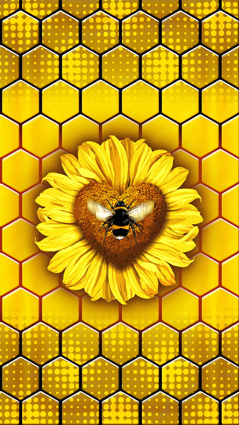 Honey Bee , Fenrir, HD phone wallpaper