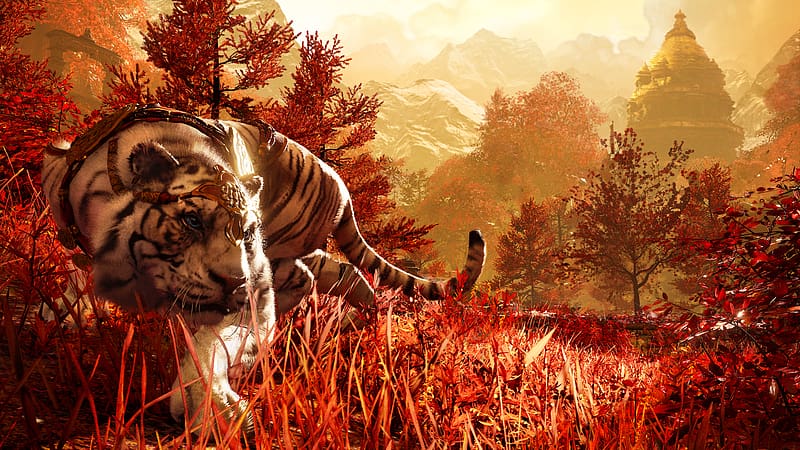 Tiger, Video Game, Far Cry, Far Cry 4, HD wallpaper