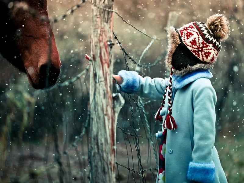 winter day in stable, fence, girl, sweater, brown, woll, horse, winter, cold, HD wallpaper