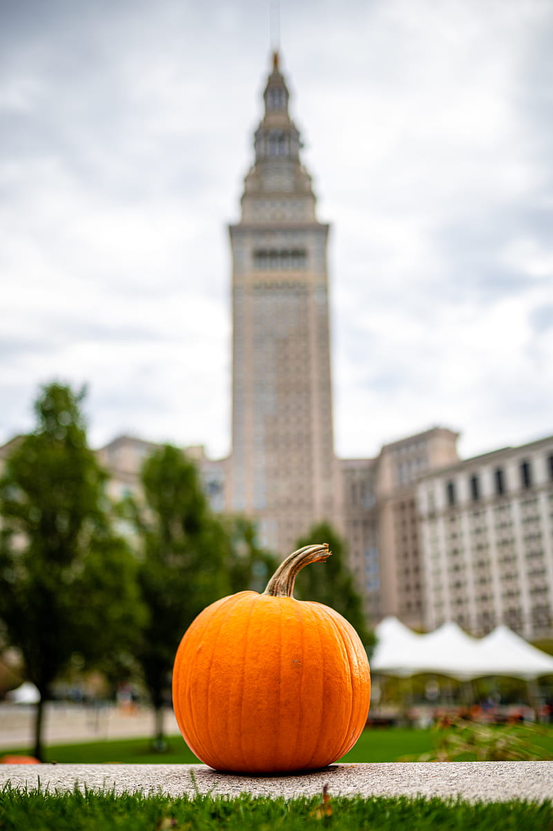 pumpkin, vegetable, buildings, blur, autumn, HD phone wallpaper