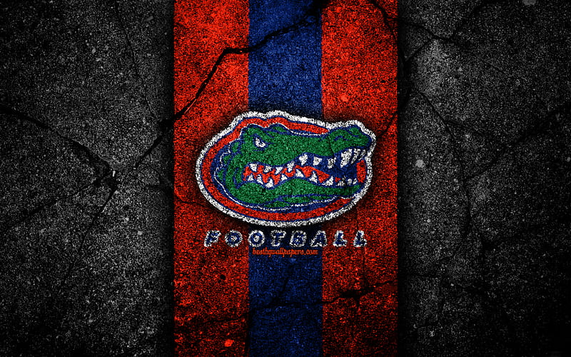 Florida Gators american football team, NCAA, orange blue stone, USA, asphalt texture, american football, Florida Gators logo, HD wallpaper