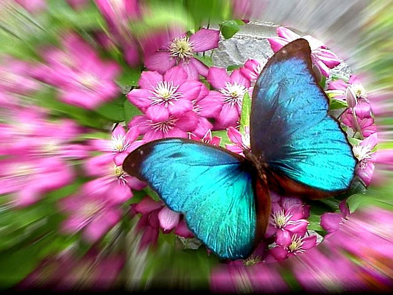 Mariposa de jade, colorido, flores, jade, mariposa, Fondo de pantalla HD |  Peakpx