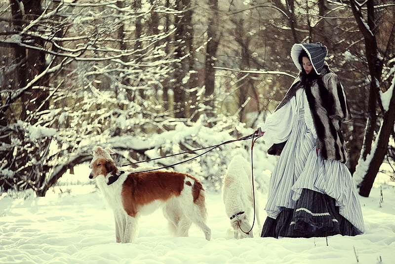A Winter Walk.., lovely, bonito, winter, hat, snow, leash, russian, walking, lady, dogs, HD wallpaper