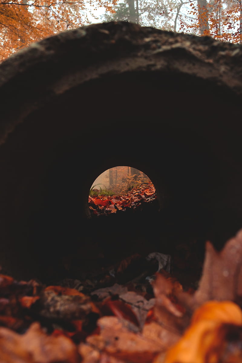 tunnel, pipe, dark, leaves, autumn, HD phone wallpaper