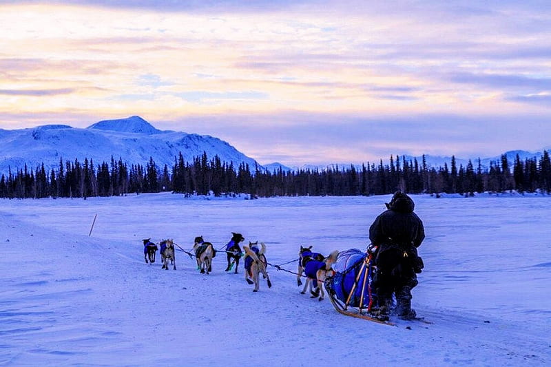 Dog Mushing, sleigh, alaska, mountains, fairbanks area, man, clouds, sky, husky, HD wallpaper