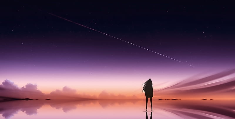 Anime Pink Sky Standing Alone, anime, artist, artwork, digital-art, HD wallpaper