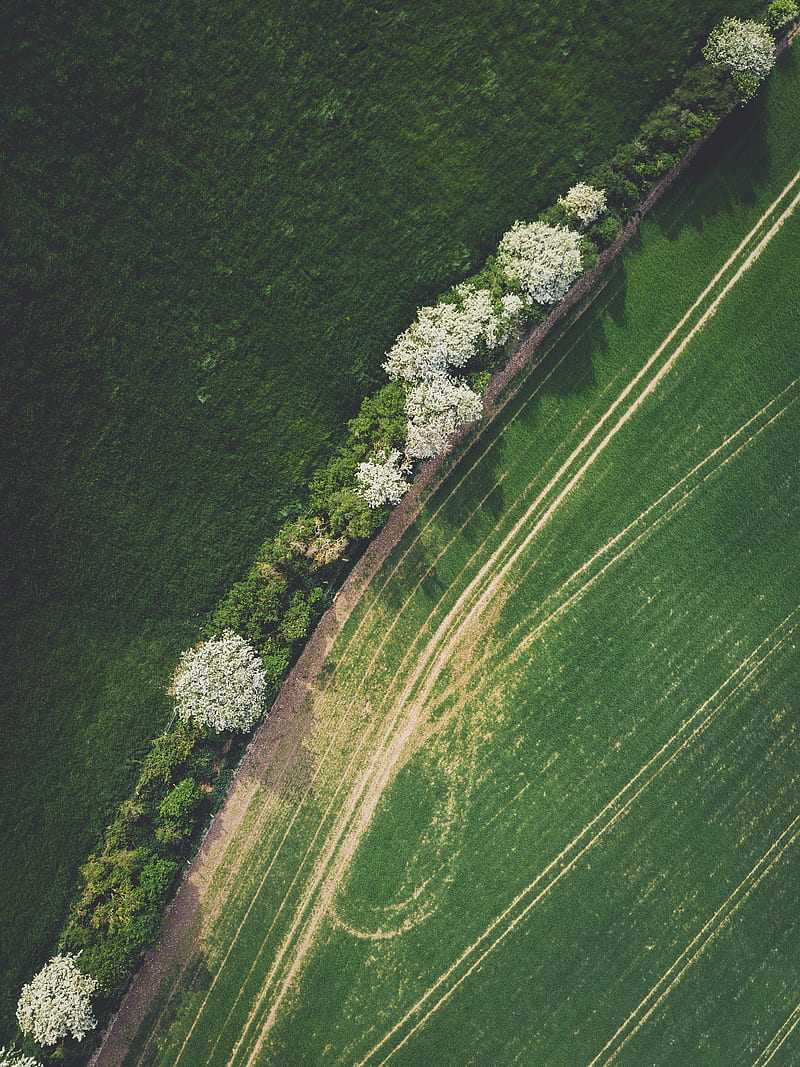 2k Free Download Aerial View Of Green Grass Field Hd Phone Wallpaper