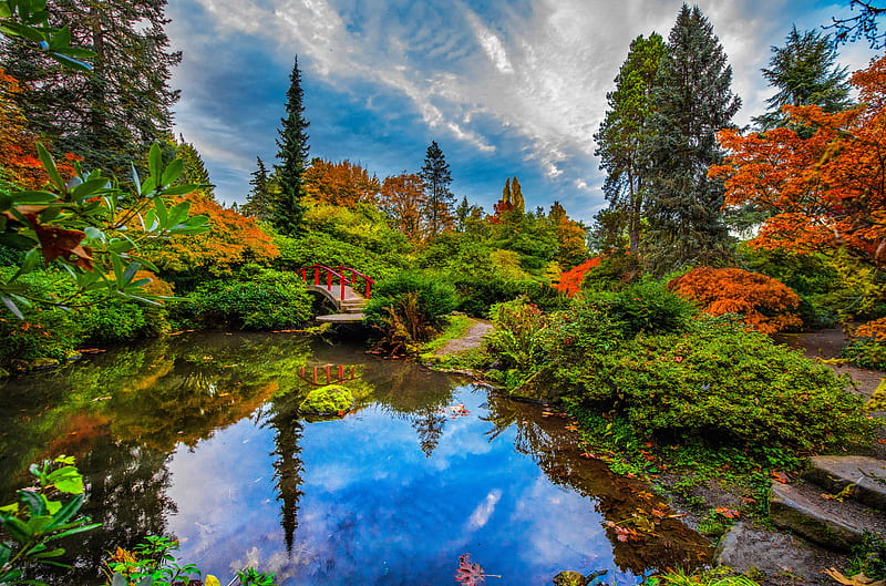 Man Made, Japanese Garden, Bridge, Bush, Fall, Pond, Reflection, Seattle, HD wallpaper