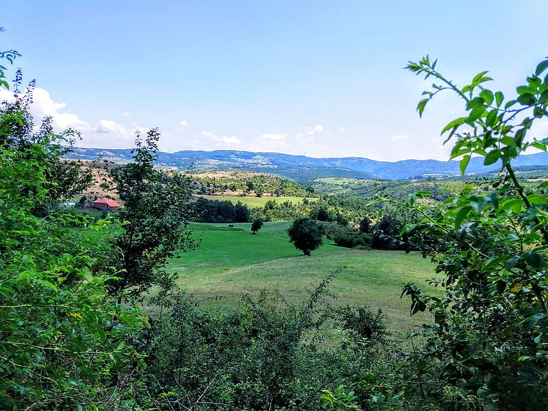 Beauty summer in the village, Trees, Sky, Kosovo, bonito, Fields, Hause, HD wallpaper