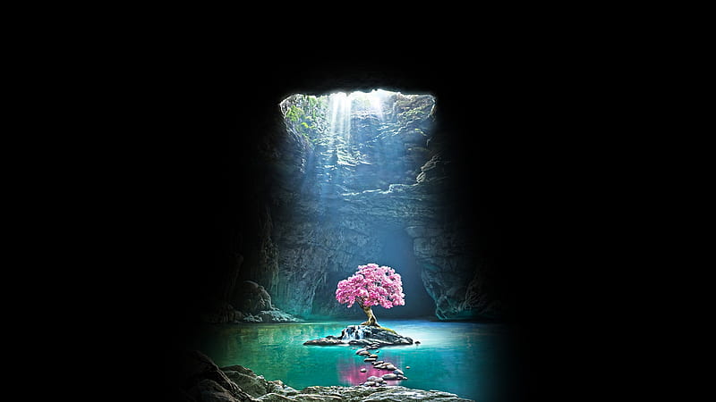 Cave sakura, amoled, black, r, pink, tree, water, HD wallpaper